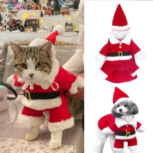 Déguisement Noël Chat ou Chien