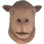 kf-H461f5dc1ac0f460f9201c2abb19a95351