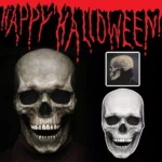 kf-S08c257cb2cdd4398960ba9e11b3fc0e0S