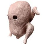 kf-S072d13bd9b5f4f88812c1a25d31aabc7O