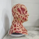 kf-Sd0160ca301454c44a42167152015e293h