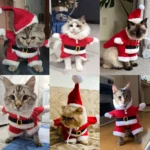 Déguisement Noël Chat ou Chien