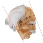 kf-S6e7fc317056045b9a3969d2420c29c30H