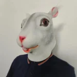 kf-S41158cf1ed874fd88e1450d607c488578